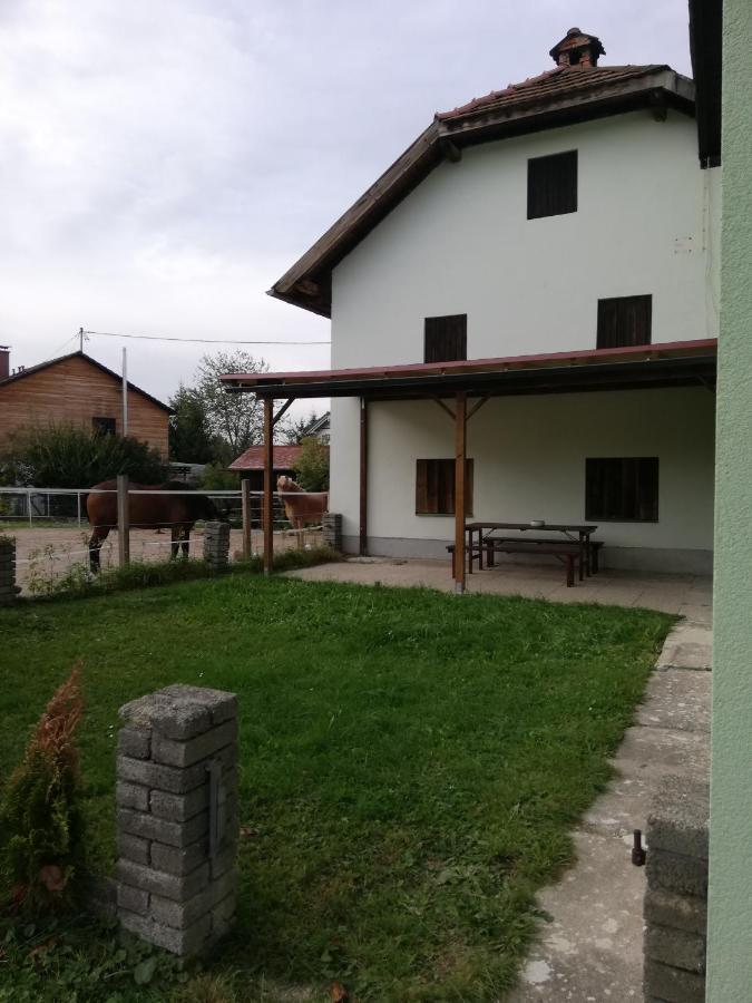 Ferienwohnung Schmied 1 Aurach am Hongar 외부 사진