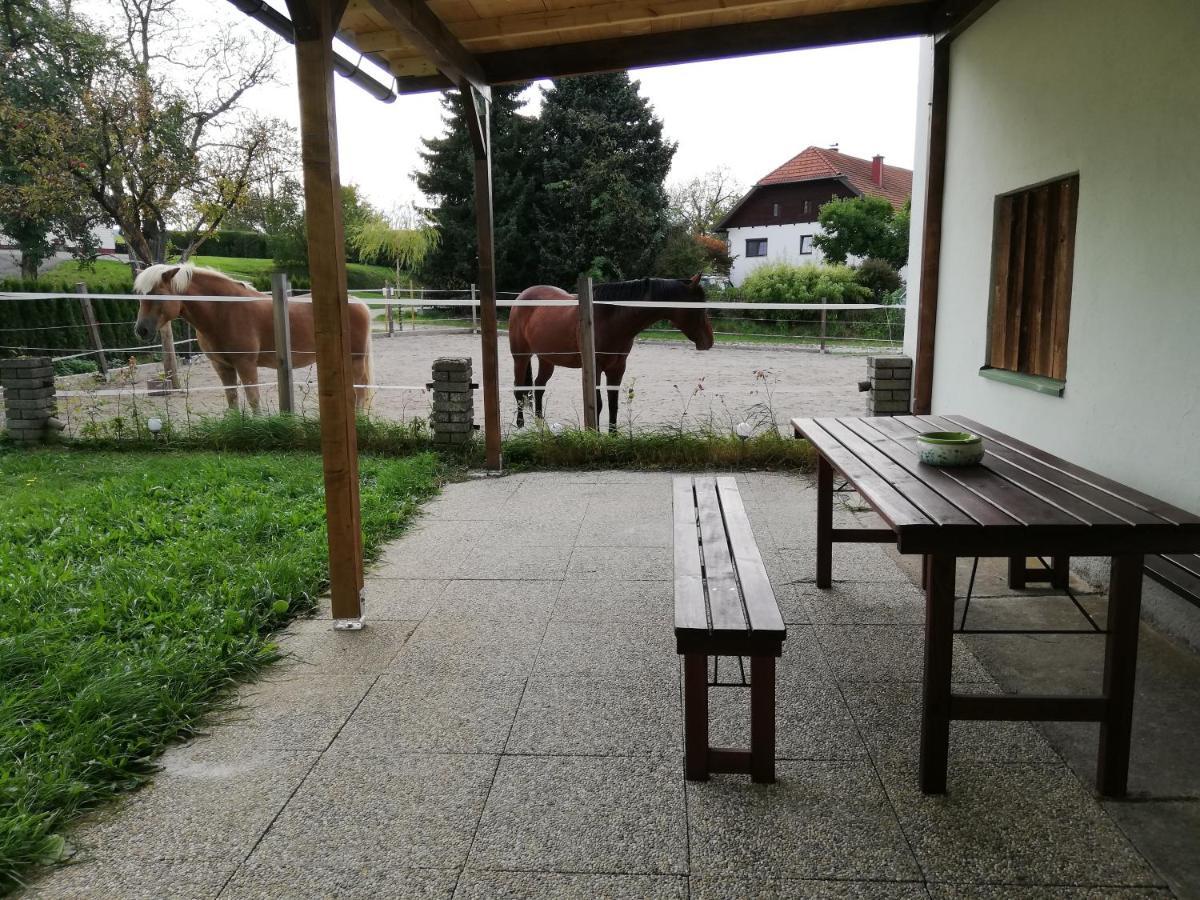 Ferienwohnung Schmied 1 Aurach am Hongar 외부 사진
